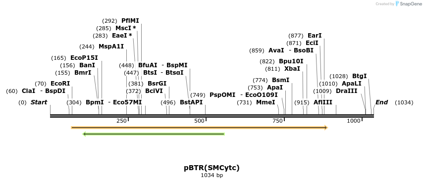 134501_map