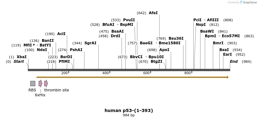 134502_map