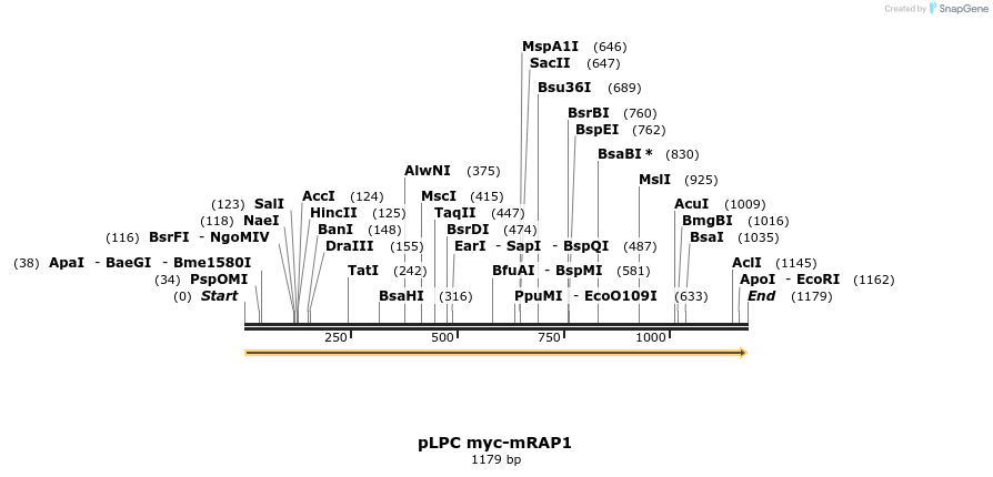 134506_map