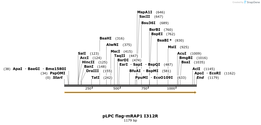 134508_map