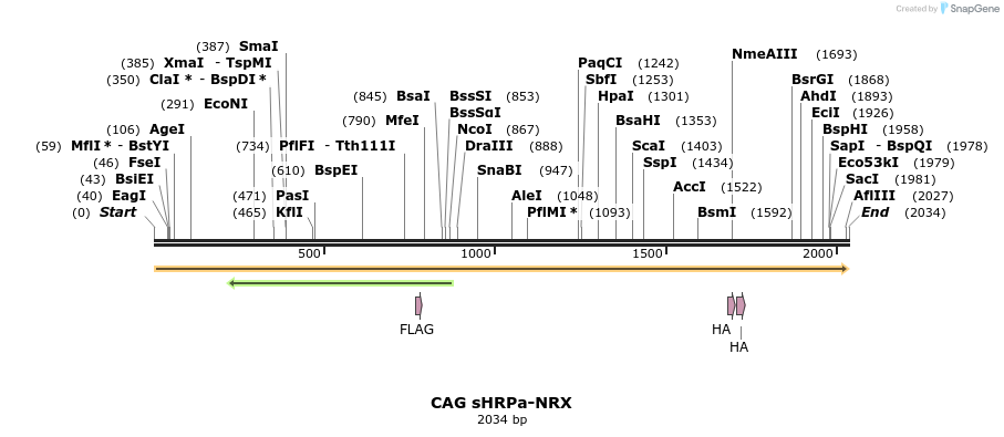 134512_map
