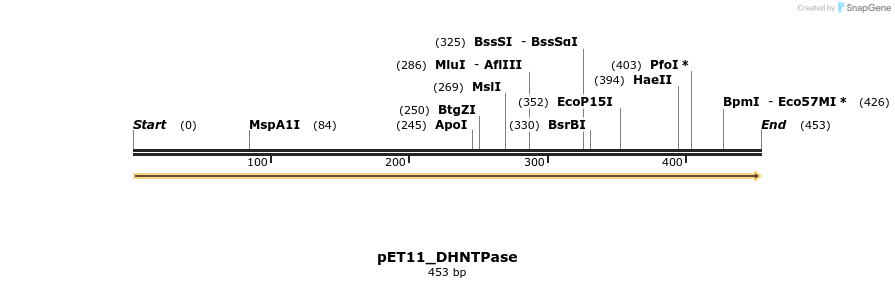 134513_map
