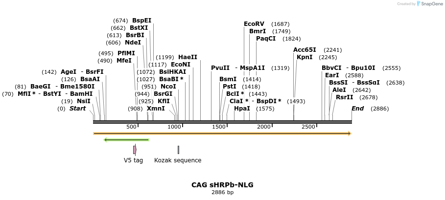 134515_map