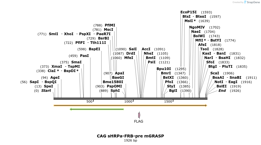 134518_map