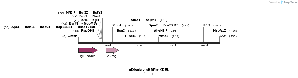 134537_map