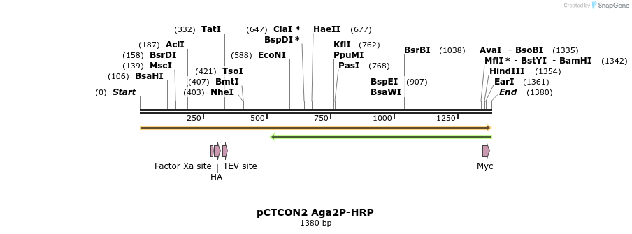 134541_map