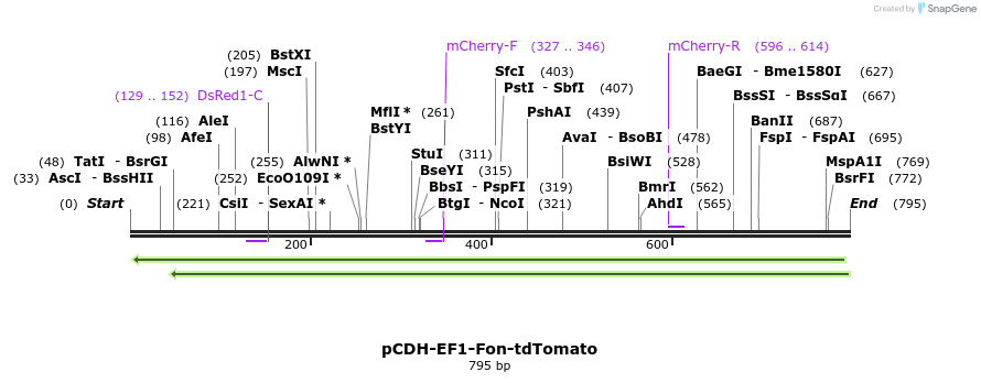 134550_map