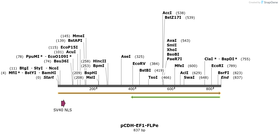 134552_map