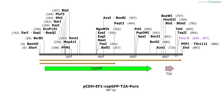 134555_map