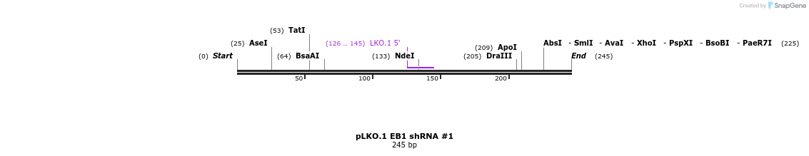 134558_map