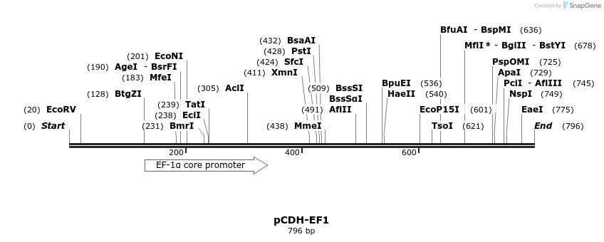 134567_map