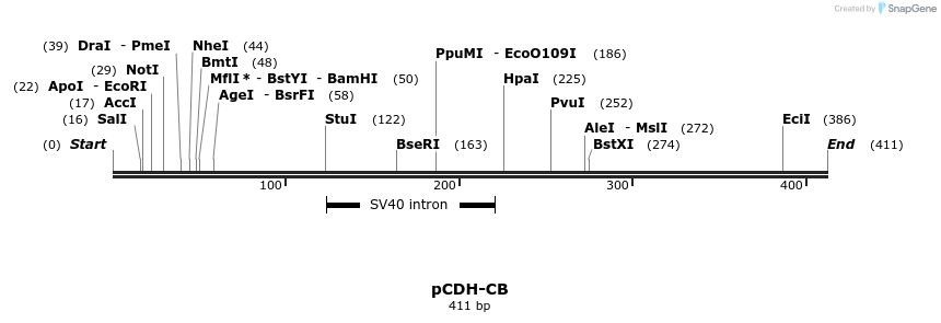 134569_map
