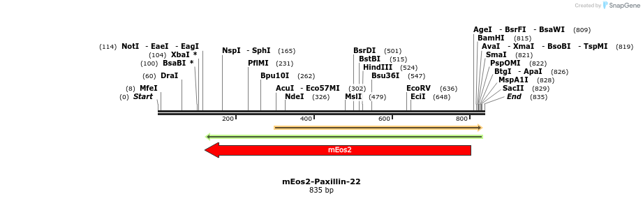 134590_map