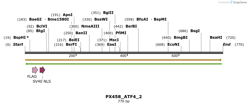134602_map