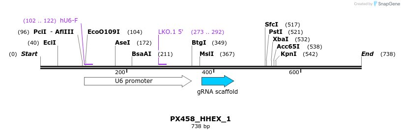 134605_map