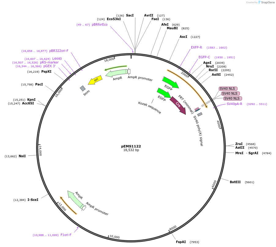 13461_map