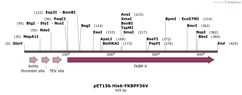 134616_map