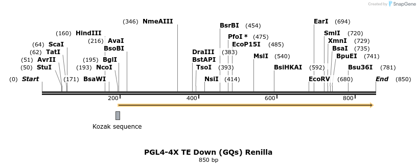134618_map