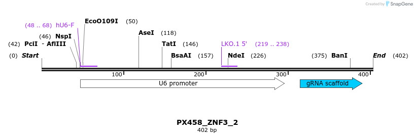 134646_map