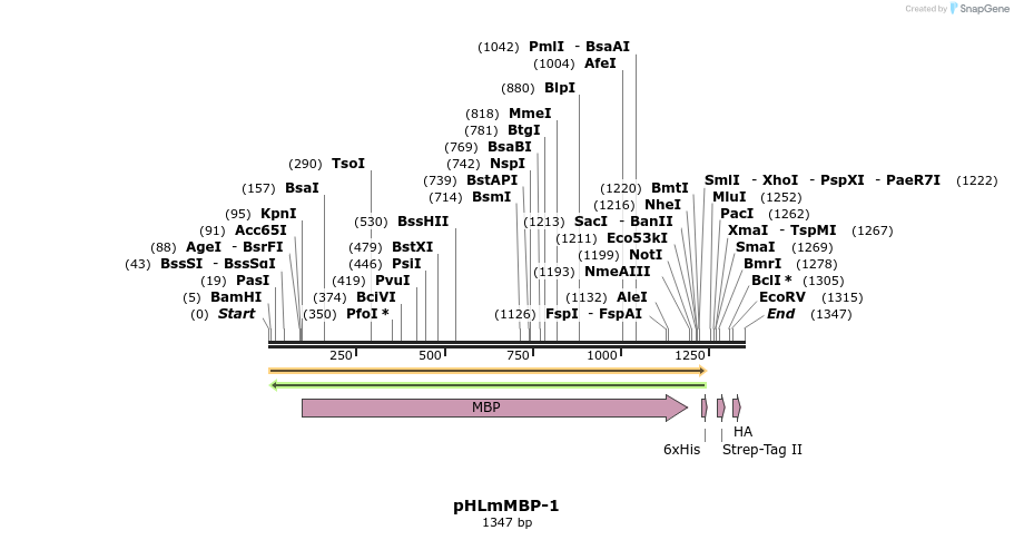 134649_map