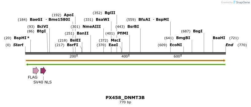 134653_map