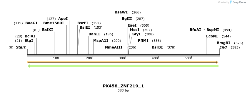 134660_map