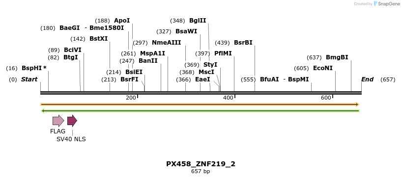 134662_map