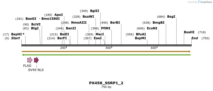 134667_map