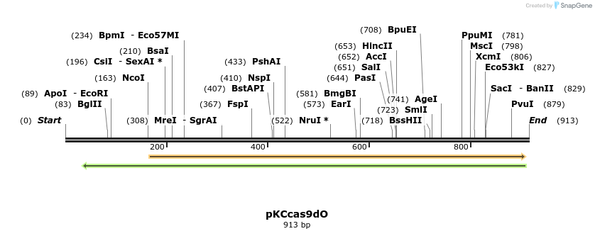 134684_map