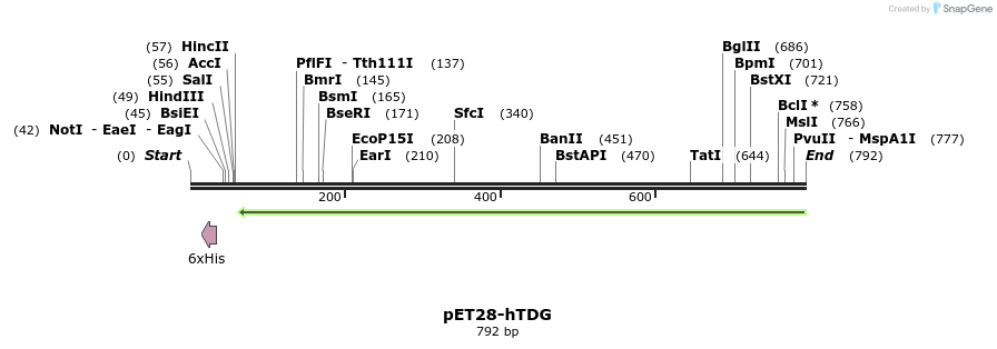 134686_map