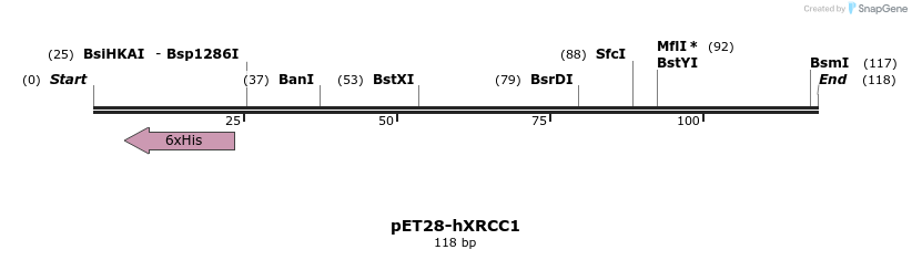 134688_map