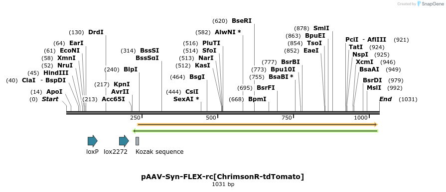 134692_map