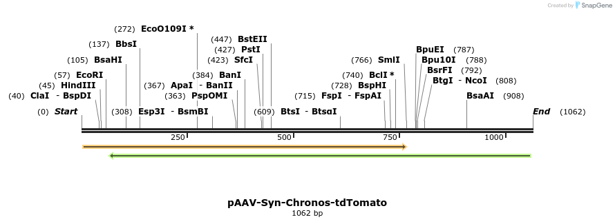 134693_map