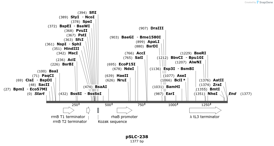 134705_map