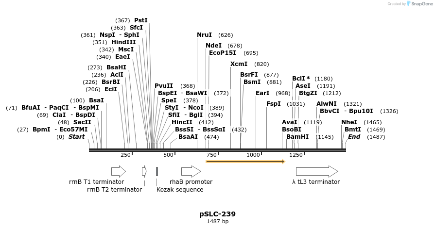 134707_map