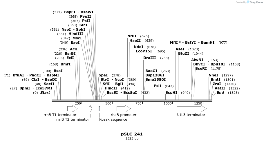 134709_map
