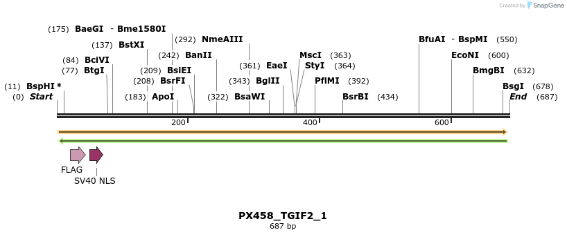134712_map