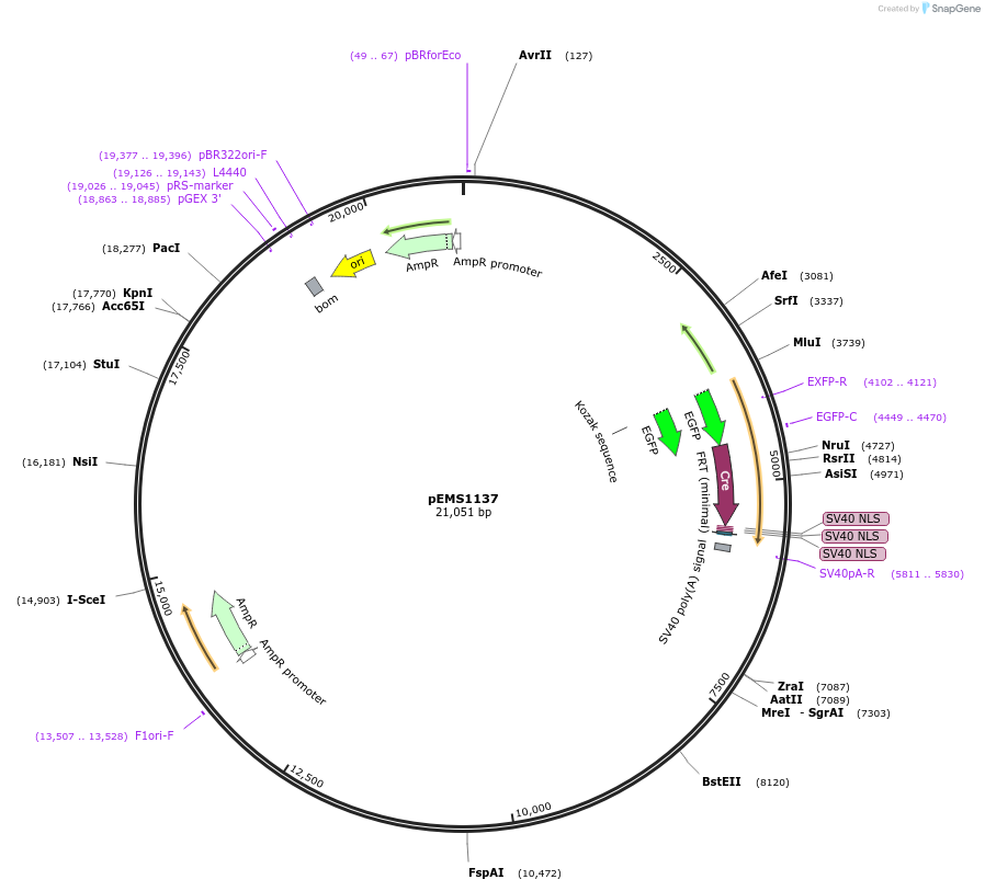 13472_map