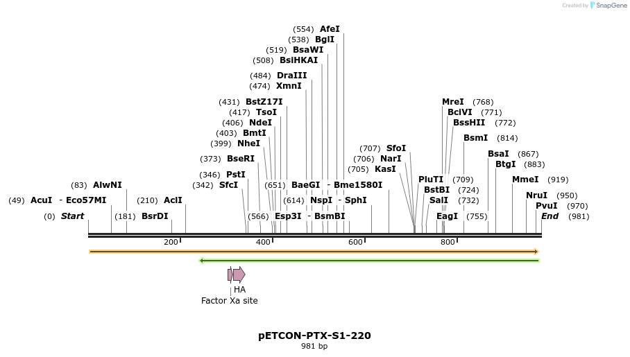 134724_map