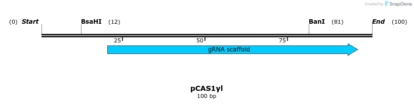 134734_map