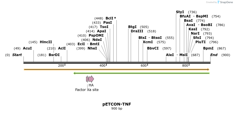 134740_map