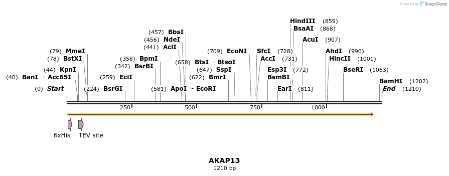 134744_map