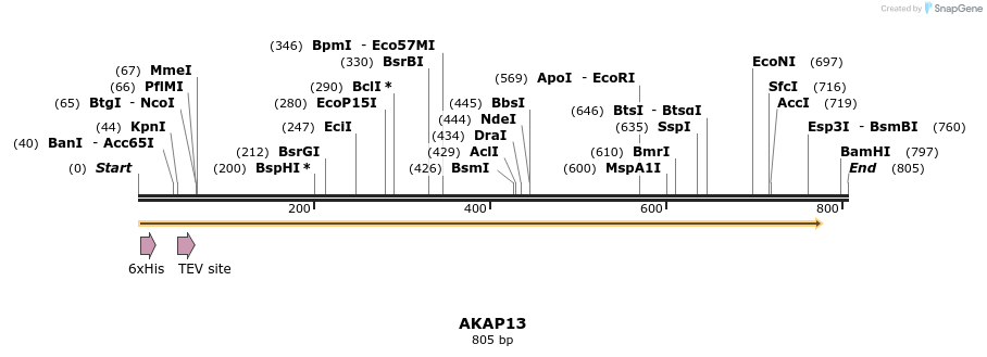 134746_map
