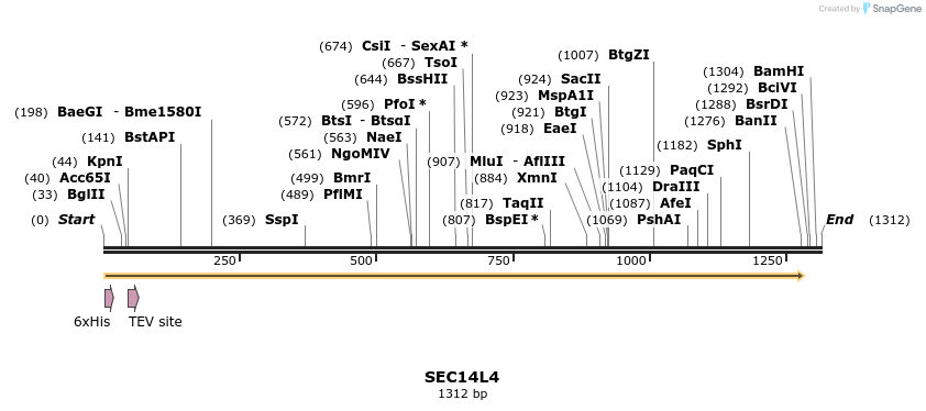 134747_map