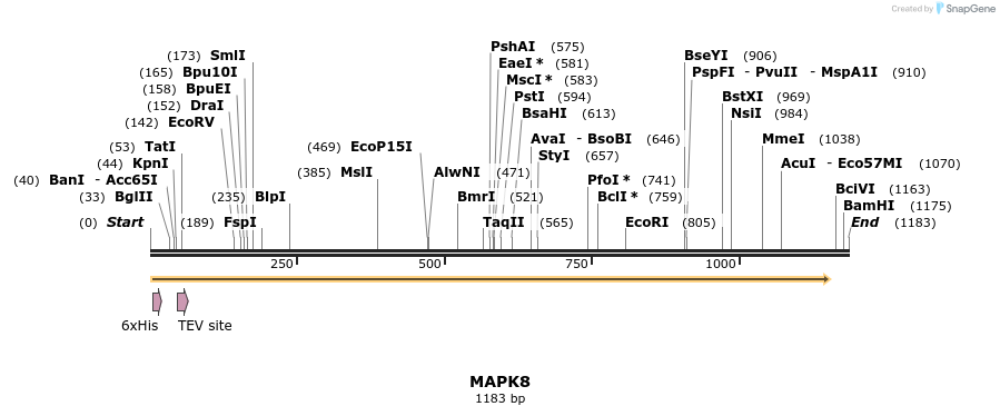 134750_map
