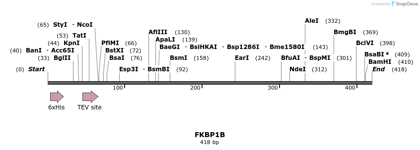 134755_map