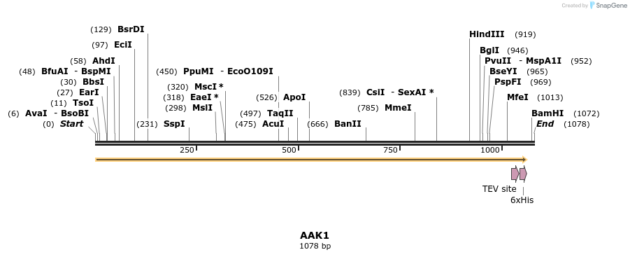 134758_map