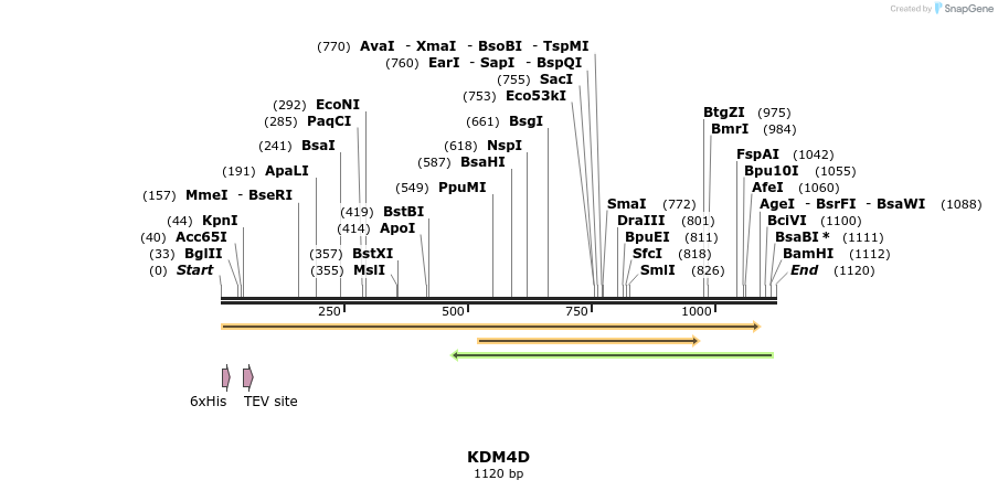 134761_map