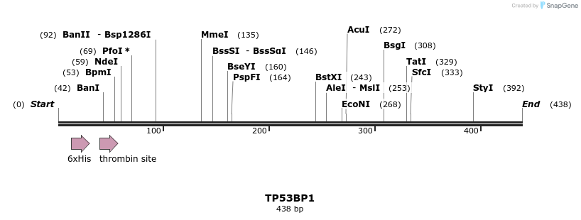 134766_map
