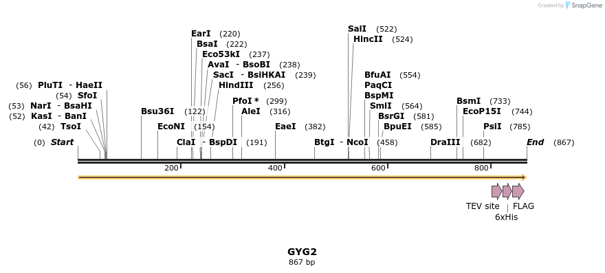 134768_map